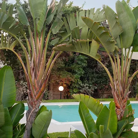 Numeroquattro-light Green, Open Space Con Vista Sul Giardino E Piscina Apartment *
