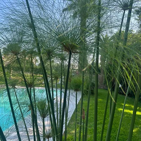 Numeroquattro-light Green, Open Space Con Vista Sul Giardino E Piscina *